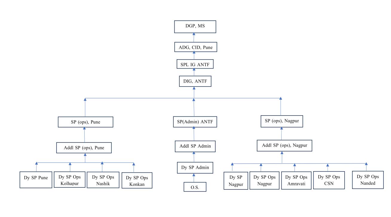 ANTF Organisation Structure